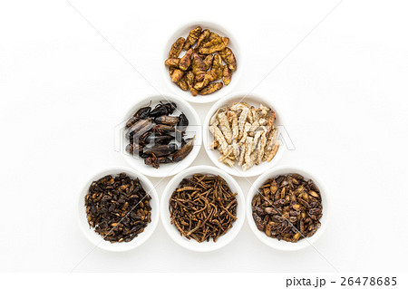 昆虫食:Entomophagy 昆虫食:Entomophagy 26478685