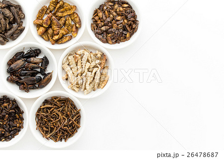 昆虫食:Entomophagy 昆虫食:Entomophagy 26478687