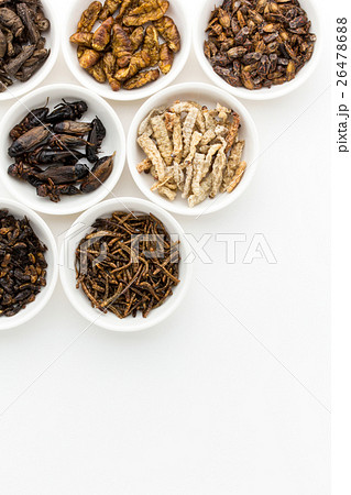 昆虫食:Entomophagy 昆虫食:Entomophagy 26478688