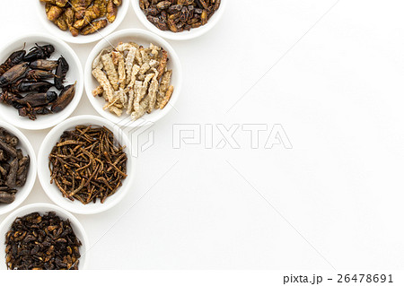昆虫食:Entomophagy 昆虫食:Entomophagy 26478691
