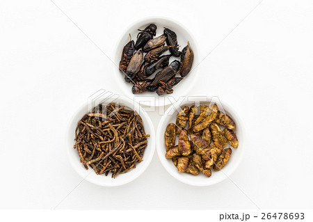 昆虫食:Entomophagy 昆虫食:Entomophagy 26478693