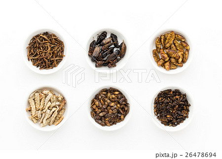 昆虫食:Entomophagy 昆虫食:Entomophagy 26478694