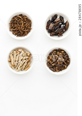 昆虫食:Entomophagy 昆虫食:Entomophagy 26478695