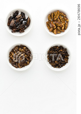昆虫食：Entomophagy 26478696