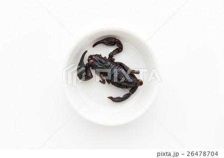 昆虫食:Entomophagy 昆虫食:Entomophagy 26478704