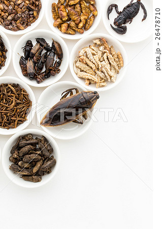 昆虫食：Entomophagy 26478710