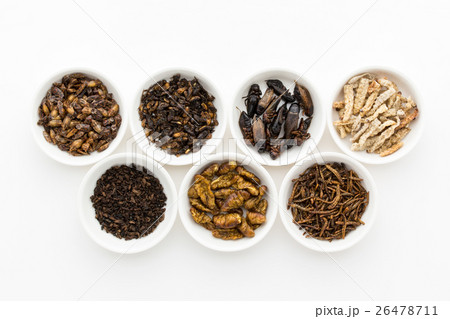 昆虫食：Entomophagy 26478711