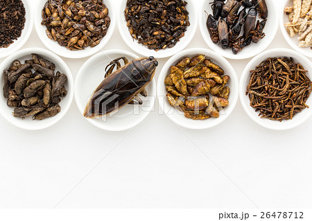 昆虫食：Entomophagy 26478712