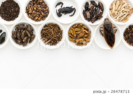 昆虫食：Entomophagy 26478713