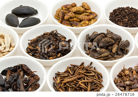昆虫食：Entomophagy 26478716