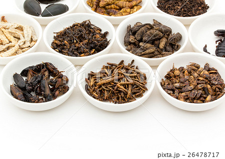 昆虫食：Entomophagy 26478717