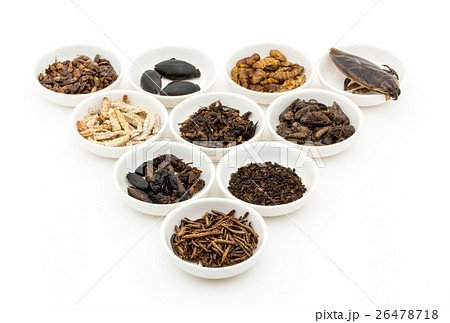 昆虫食：Entomophagy 26478718