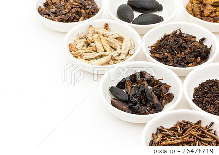 昆虫食:Entomophagy 昆虫食:Entomophagy 26478719