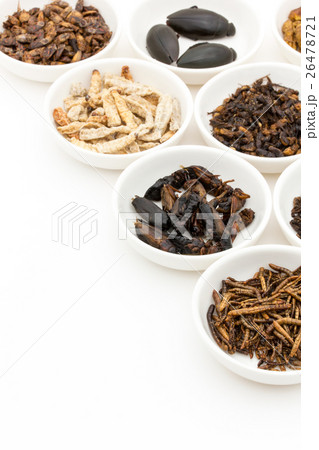 昆虫食：Entomophagy 26478721