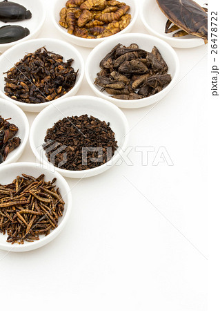 昆虫食：Entomophagy 26478722