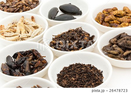 昆虫食：Entomophagy 26478723