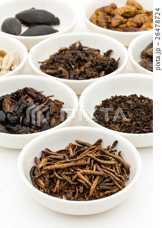 昆虫食：Entomophagy 26478724