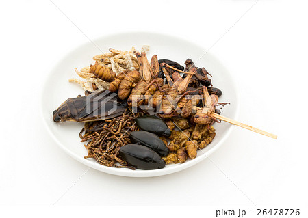 昆虫食:Entomophagy 昆虫食:Entomophagy 26478726