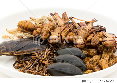 昆虫食：Entomophagy 26478727