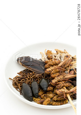 昆虫食：Entomophagy 26478728