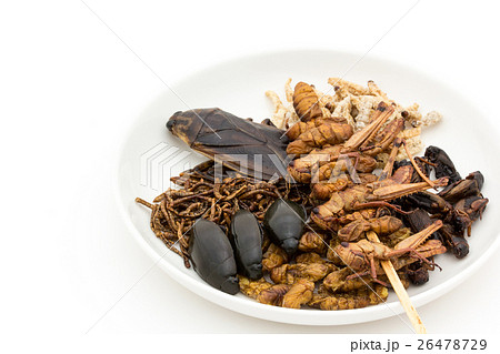 昆虫食：Entomophagy 26478729