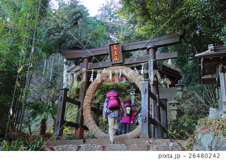 茅の輪くぐり　奥武蔵・竹寺 26480242
