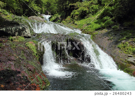 初夏の清流　横谷渓谷 26480243