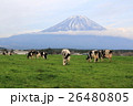 朝霧高原の牧場と富士山 朝霧高原の牧場と富士山 26480805