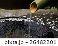 蹲に花筏 26482201