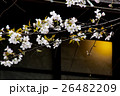 台所裏のヤマザクラ 26482209