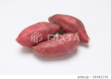 さつまいも　芋　ヤラピン成分 26482230