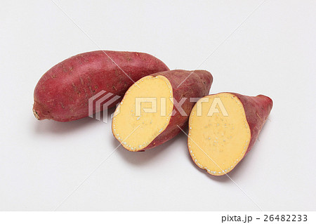 さつまいも　芋　ヤラピン成分 26482233