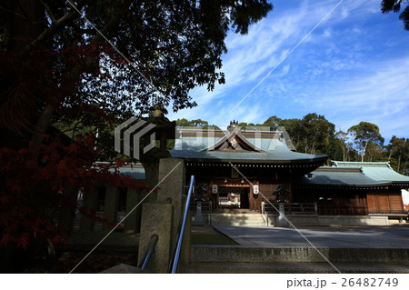 多井畑厄除八幡宮 多井畑厄除八幡宮 26482749