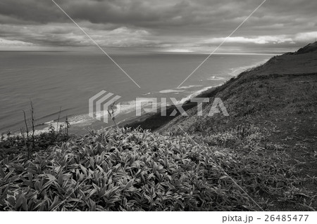 Wild Journey (74) Wild Journey (74) 26485477