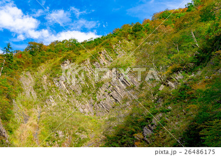 初秋の清津峡　柱状節理 26486175