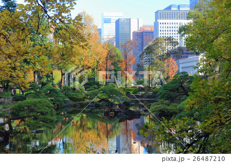 日比谷公園心字池紅葉と丸の内高層ビル 日比谷公園心字池紅葉と丸の内高層ビル 26487210