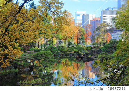 日比谷公園心字池紅葉と丸の内高層ビル 26487211