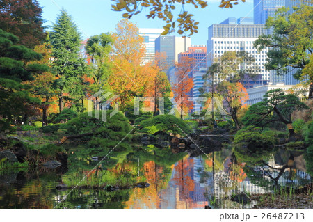 日比谷公園心字池紅葉と丸の内高層ビル 26487213
