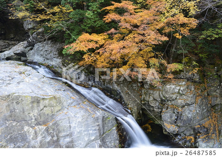 【奈良県　天川村】みたらい渓谷の紅葉 26487585
