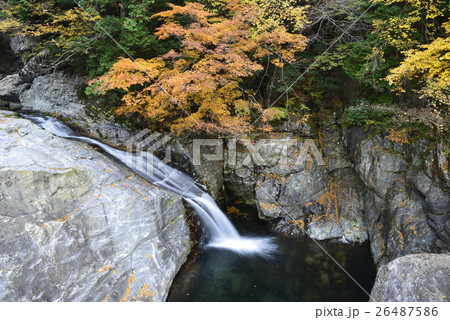 【奈良県　天川村】みたらい渓谷の紅葉 26487586