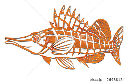 魚イラストのイラスト素材 26488124 Pixta