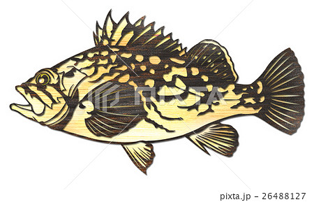 魚イラスト 26488127