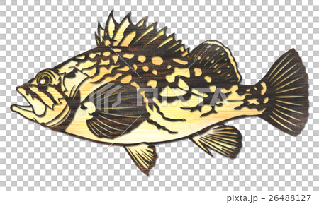 魚イラスト 26488127