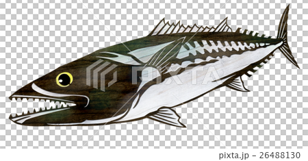魚圖 魚圖 26488130