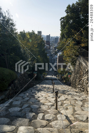 伊佐爾波神社　石段 26488309
