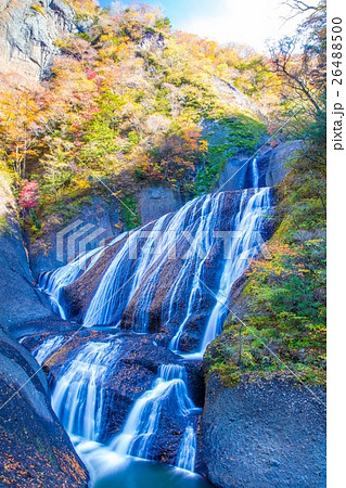 袋田の滝の紅葉 26488500