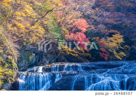 袋田の滝の紅葉 26488507