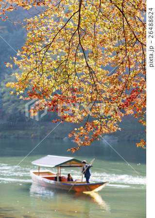 モミジと観光船の京都嵐山(大堰川エリア) モミジと観光船の京都嵐山(大堰川エリア) 26488624
