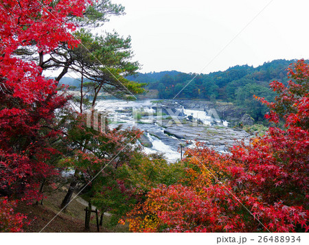 紅葉の曽木の滝　東洋のナイアガラ　見晴台より３ 26488934