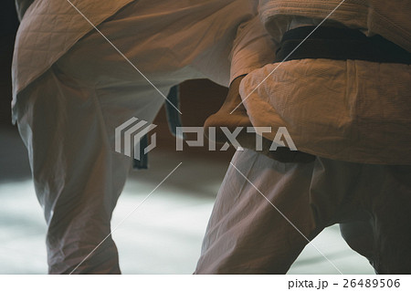 martial artist martial artist 26489506